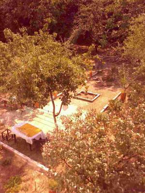 Particular vand 3 camere confort I in Sect 3 Poze + Video