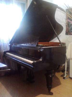 pian vienez 1842