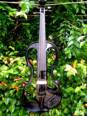 vand vioara electronica carlo giordano