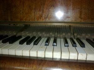 Vand pian marca Bosendorfer