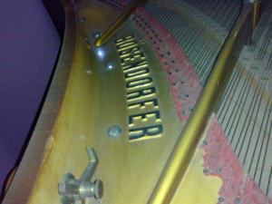 Vand pian marca Bosendorfer