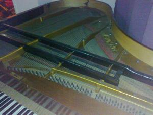 Vand pian marca Bosendorfer