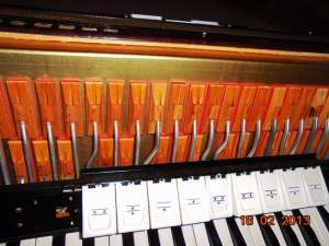 acordeon Hohner Verdi III 120 basi