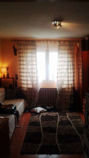 garsoniera zona steagu
