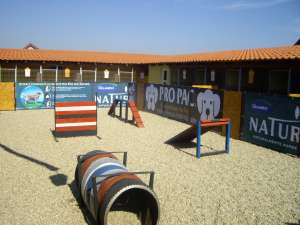 pensiune canina timis