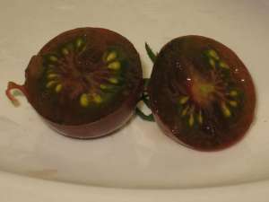 Vand seminte de tomate negre,  siberiene,  albe si albastre