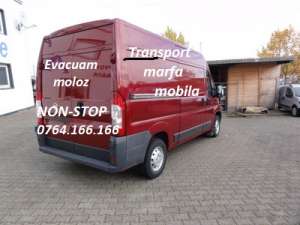 ABSOLUT 100% TRANSPORT