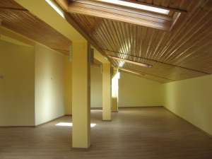 Oferta vanzare vila ,   Vasile Lascar