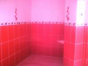 meserias constructii, renovari, la preturi avantajoase