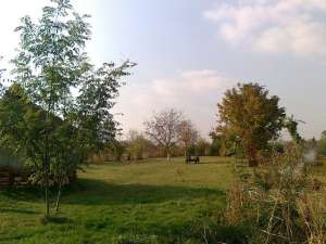 Casa MAGURELE(Ilfov),  str. UNIRII,  curte 2120mp