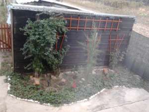 vand sau schimb casa