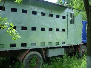 vand camion apicol