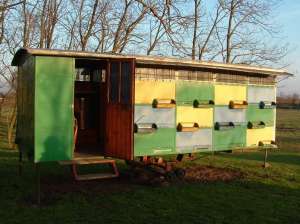 vind pavilion apicol