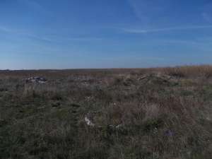 vand teren intravilan 5000 mp