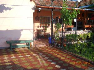 vind pavele orient
