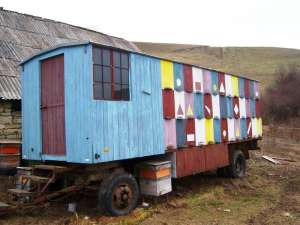 Vand Pavilion Apicol