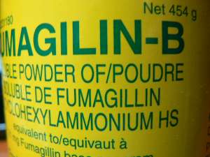 Fumagilin _B 454 grame