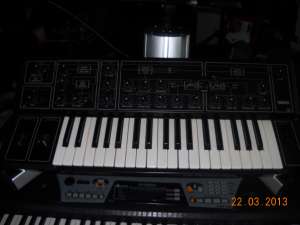 Vand Yamaha CS10