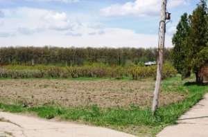 Teren vanzare jandarmeriei DN1-11700 mp