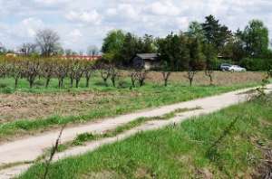 Teren vanzare jandarmeriei DN1-11700 mp