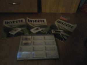 revista insecte