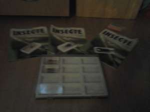 revista insecte