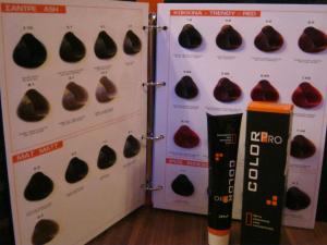 Vopsea Color Pro 100ml