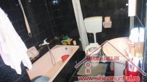 INCHIRIEM CASA D+P+E+M,   SINGUR IN CURTE,   zona CALEA DUMBRAVII