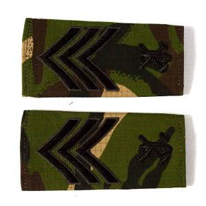 Grade militare SOLDATI GRADATI PROFESIONISTI