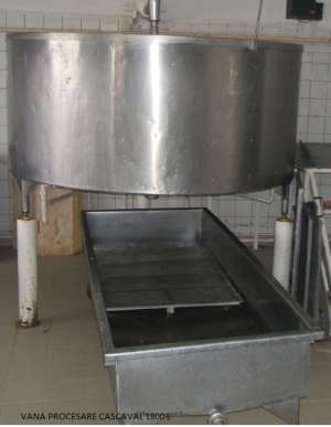 Vand linie pentru productia de cascaval
