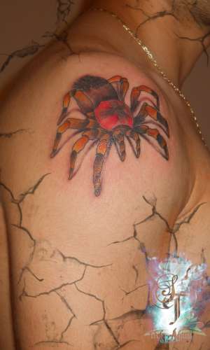 TATUAJE PERMANENTE.SPRANCENE