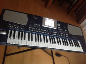 vand korg PA 500