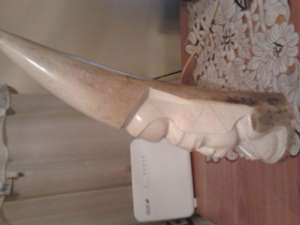 Vand fildes mamut original foarte vechi 5 kg 50 cm inaltime pret negociabil