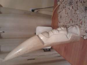 Vand fildes mamut original foarte vechi 5 kg 50 cm inaltime pret negociabil