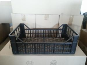 vanzari ladite plastic