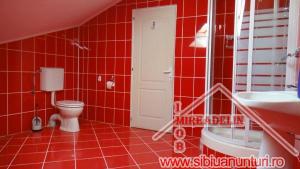 INCHIRIEZ VILA P+E+M,   295 mp,   zona CALEA POPLACII