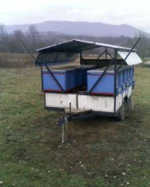Vand albine