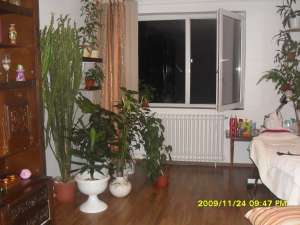 Vand ap 3 camere Peco Salaj 8/8