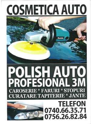 POLISH AUTO BACAU
