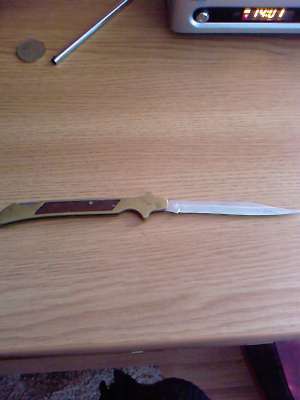 Briceag