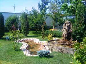 Vand plante ornamentale