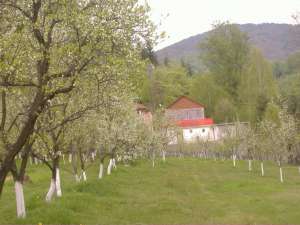 vand teren intravilan