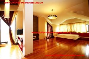 Inchiriere vila Baneasa - Sisesti