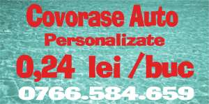 Pret 0, 24 lei / buc Covorase Auto