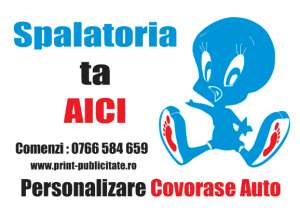 Pret 0, 24 lei / buc Covorase Auto