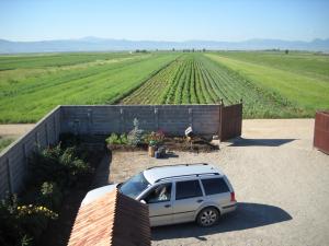Casa de vanzare Sf. Gheorghe(Chilieni)