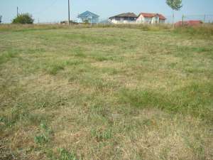 PROPRIETAR vand teren Snagov-Ghermanesti la lac