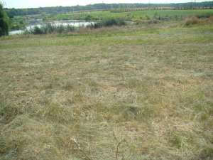 PROPRIETAR vand teren Snagov-Ghermanesti la lac