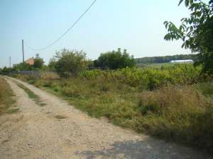 PROPRIETAR vand teren Snagov-Ghermanesti la lac