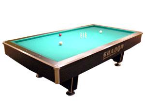 Specialisti in Biliard,   oferta mese biliard